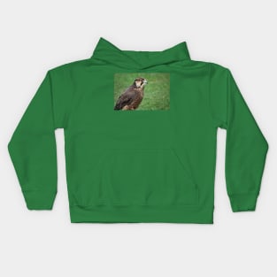 Kestrel Kids Hoodie